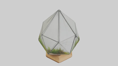 3D model Glass terrarium model VR / AR / low-poly