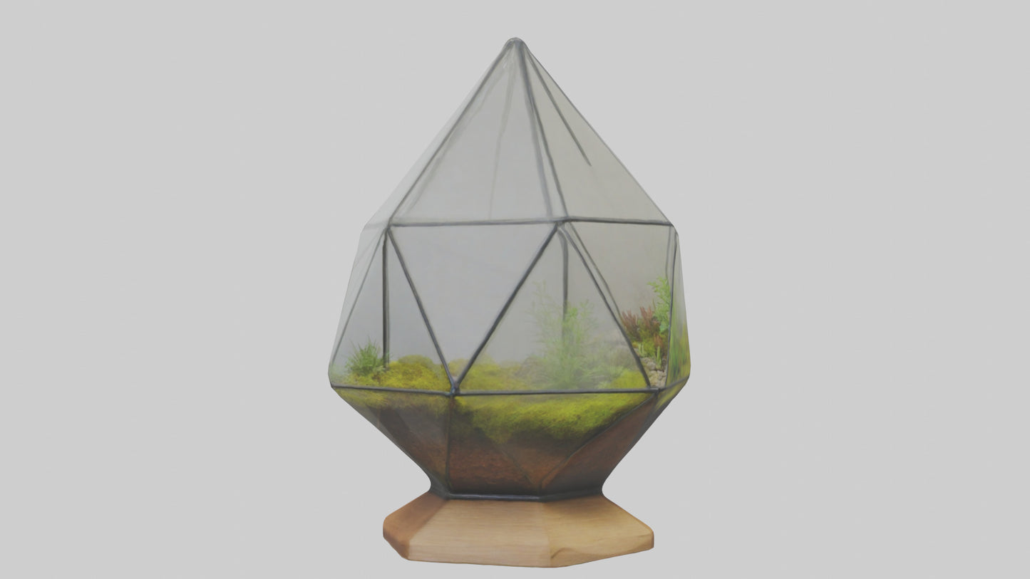 3D model Glass terrarium model VR / AR / low-poly