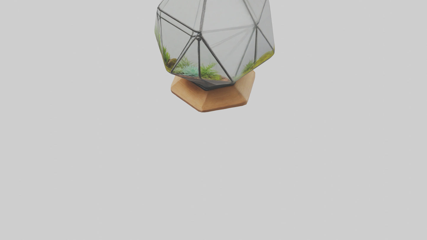 3D model Glass terrarium model VR / AR / low-poly