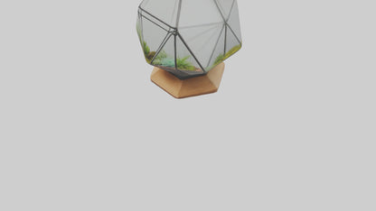 3D model Glass terrarium model VR / AR / low-poly