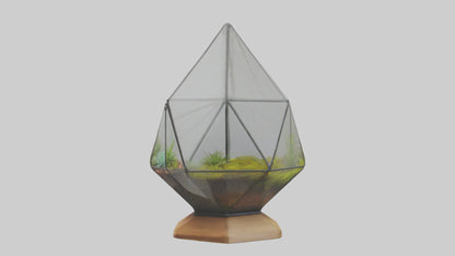 3D model Glass terrarium model VR / AR / low-poly