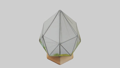 3D model Glass terrarium model VR / AR / low-poly