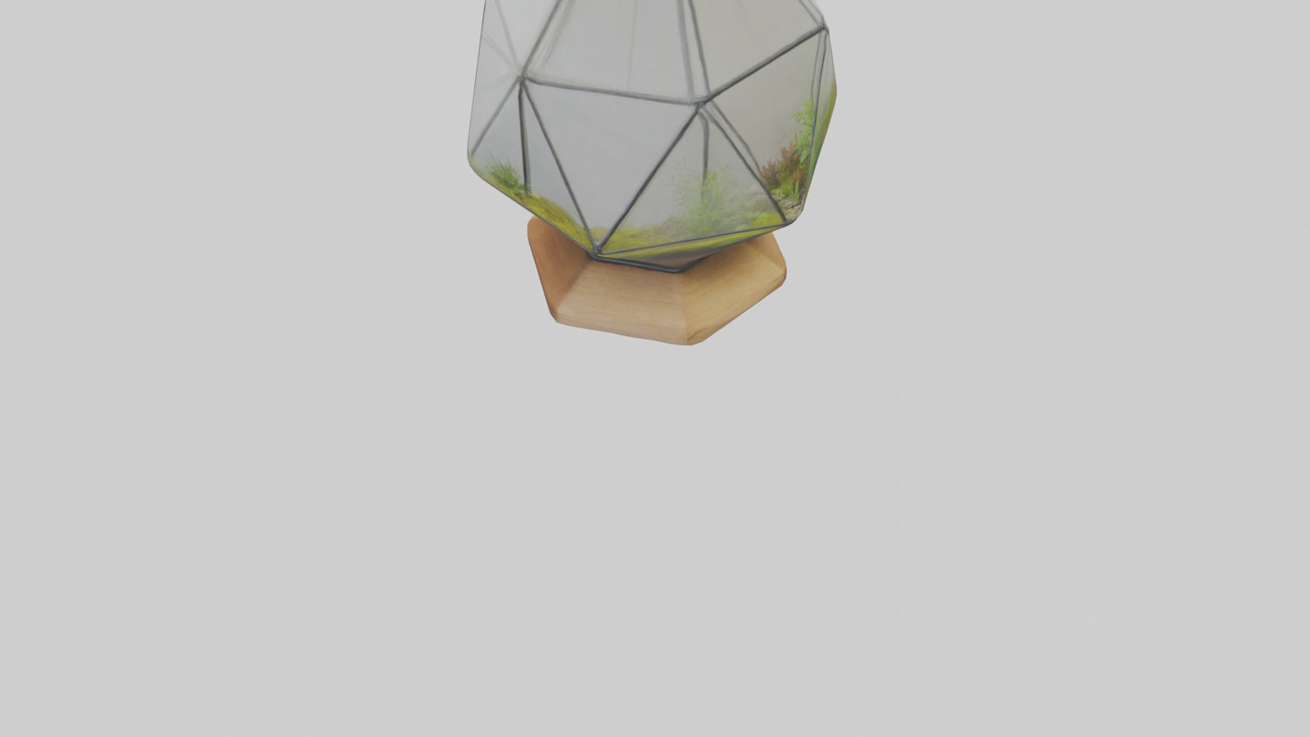 3D model Glass terrarium model VR / AR / low-poly