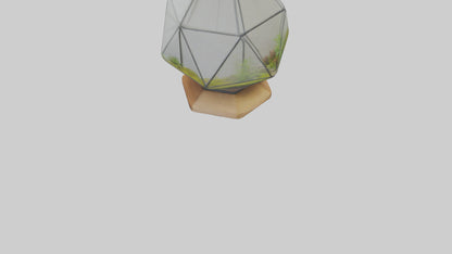 3D model Glass terrarium model VR / AR / low-poly