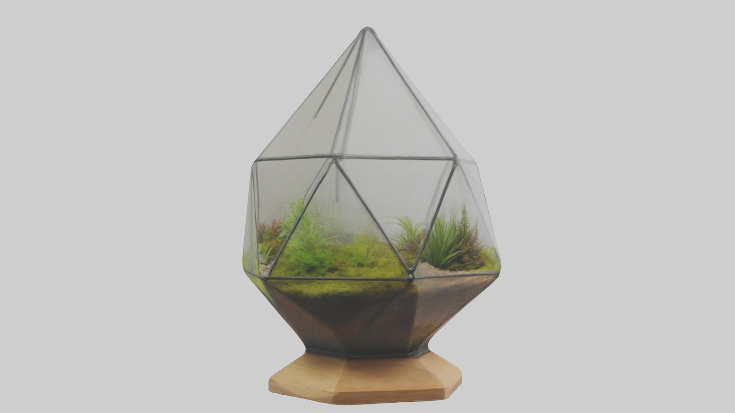 3D model Glass terrarium model VR / AR / low-poly
