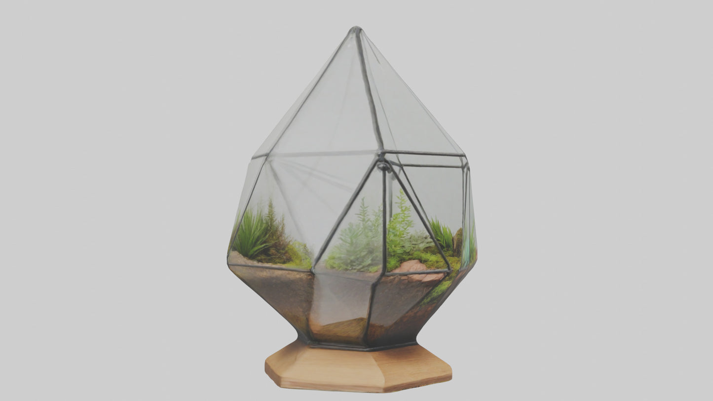 3D model Glass terrarium model VR / AR / low-poly