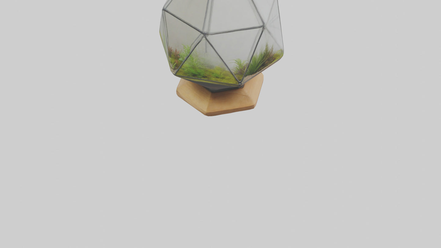 3D model Glass terrarium model VR / AR / low-poly