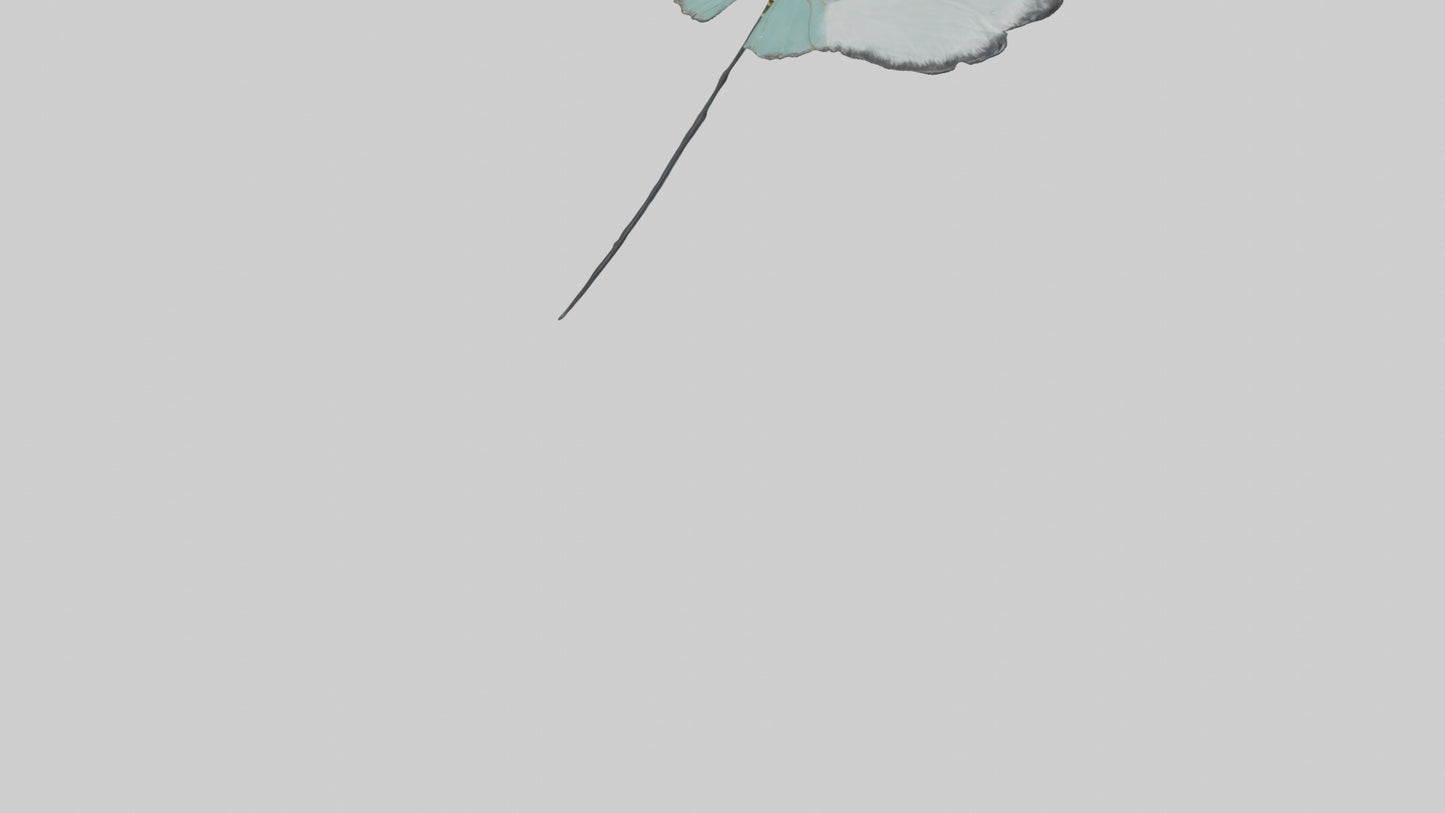 Glasswing Butterfly feeding model VR / AR / low-poly