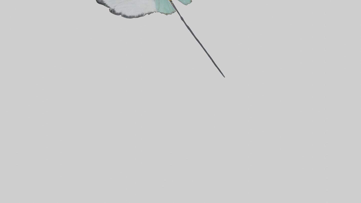 Glasswing Butterfly feeding model VR / AR / low-poly
