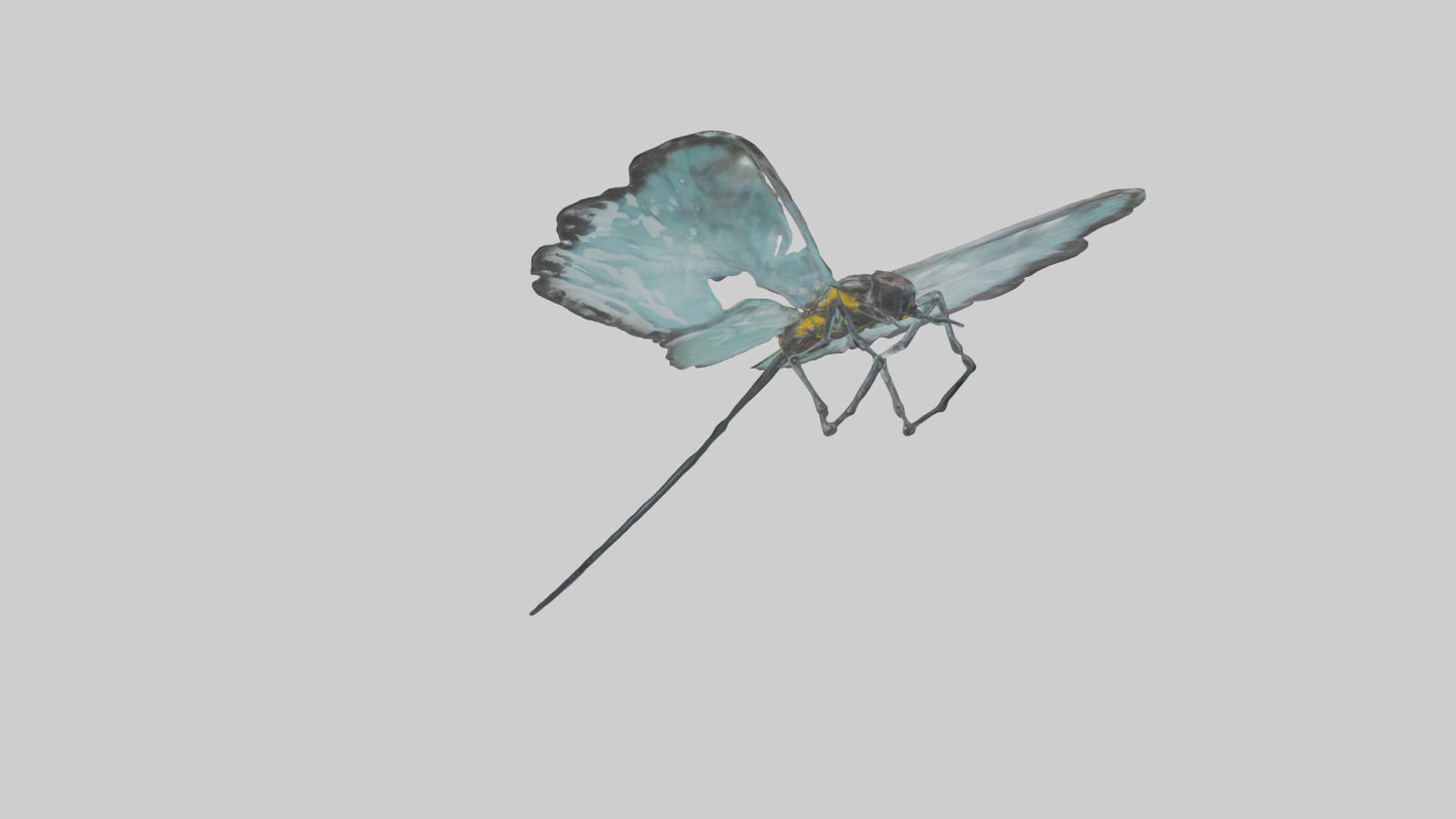 Glasswing Butterfly feeding model VR / AR / low-poly
