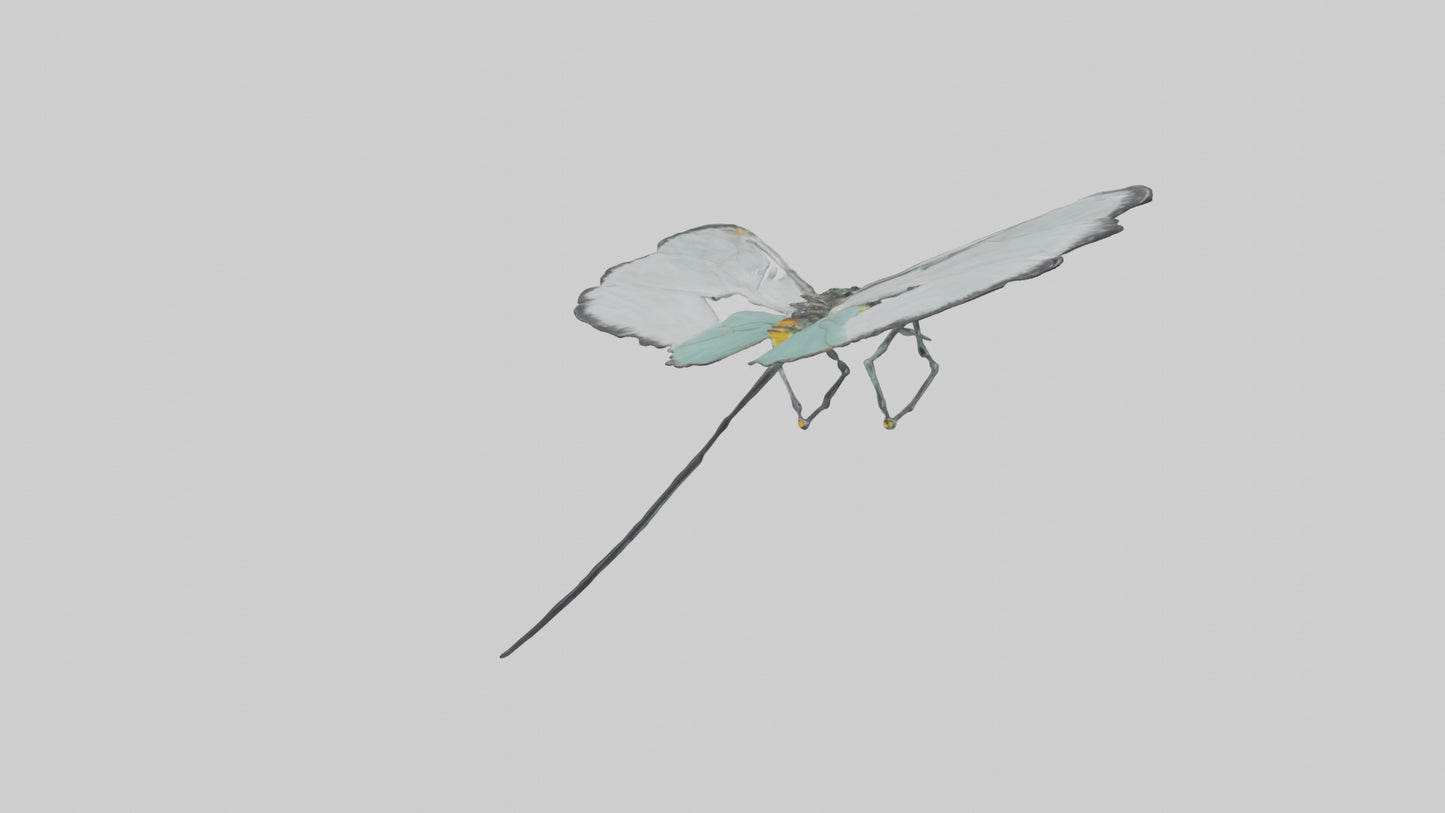 Glasswing Butterfly feeding model VR / AR / low-poly