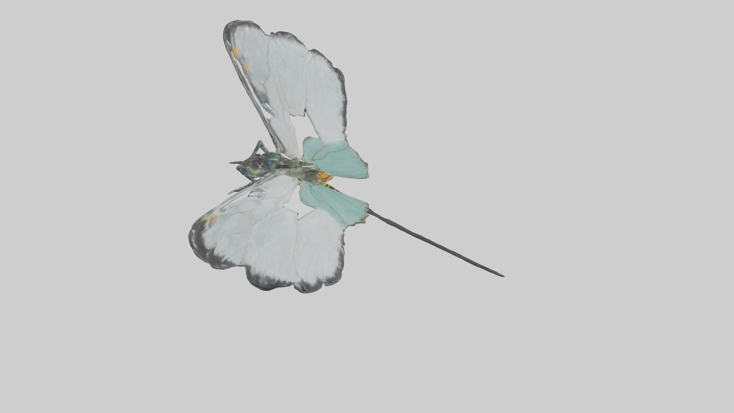 Glasswing Butterfly feeding model VR / AR / low-poly