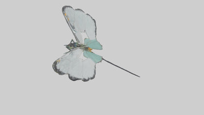 Glasswing Butterfly feeding model VR / AR / low-poly
