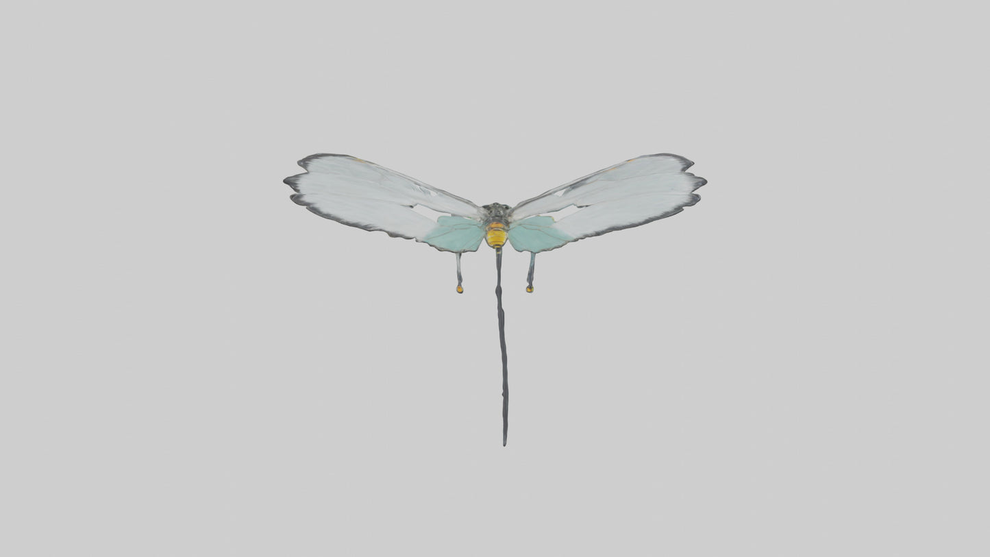 Glasswing Butterfly feeding model VR / AR / low-poly