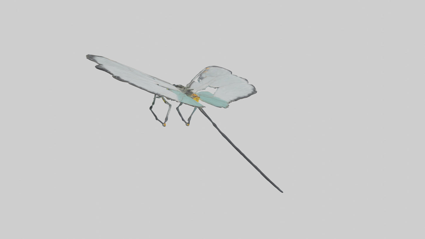 Glasswing Butterfly feeding model VR / AR / low-poly