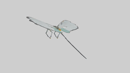 Glasswing Butterfly feeding model VR / AR / low-poly
