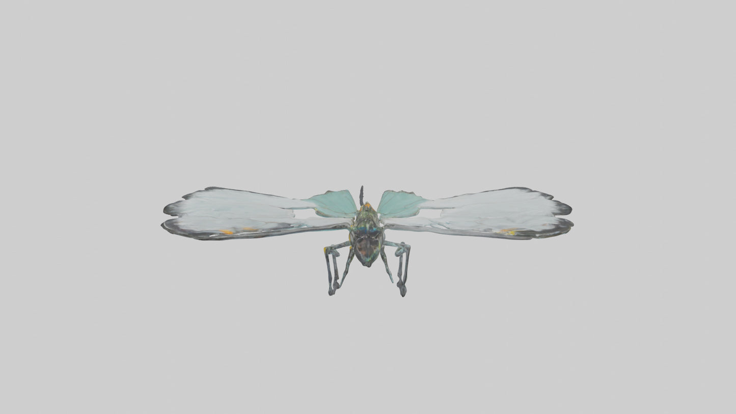 Glasswing Butterfly feeding model VR / AR / low-poly
