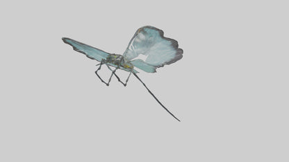 Glasswing Butterfly feeding model VR / AR / low-poly