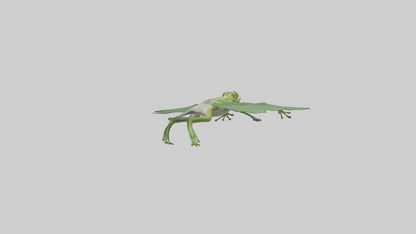 3D model Gliding Frog soaring model VR / AR / low-poly