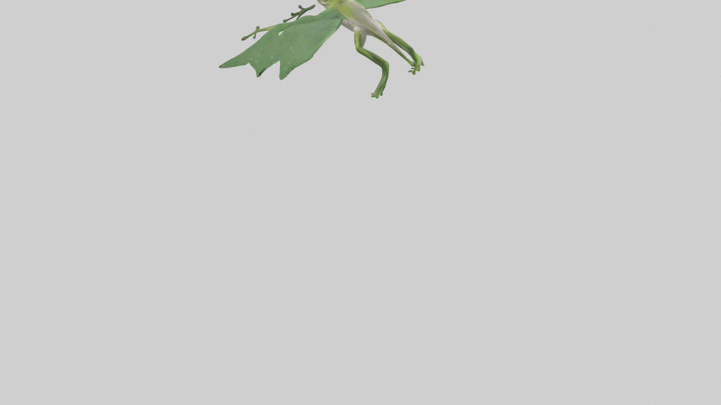 3D model Gliding Frog soaring model VR / AR / low-poly