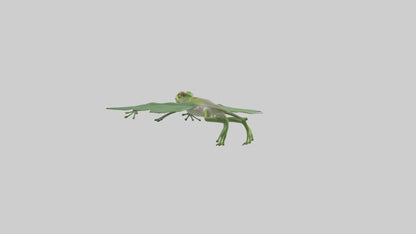 3D model Gliding Frog soaring model VR / AR / low-poly