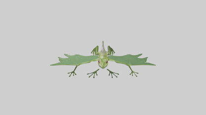 3D model Gliding Frog soaring model VR / AR / low-poly