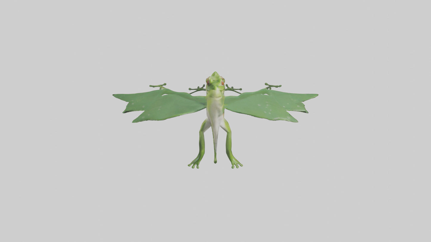 3D model Gliding Frog soaring model VR / AR / low-poly