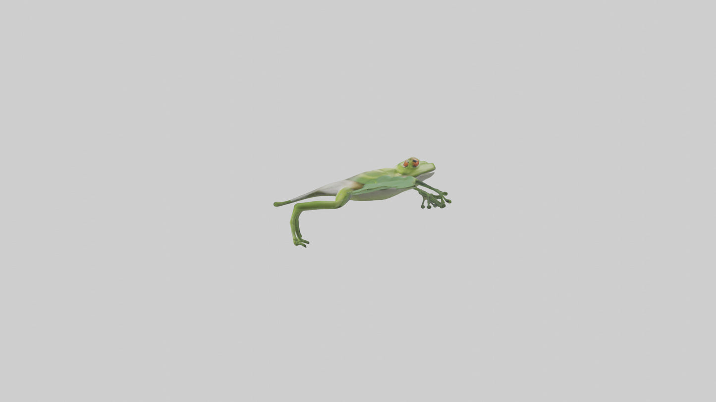 3D model Gliding Frog soaring model VR / AR / low-poly