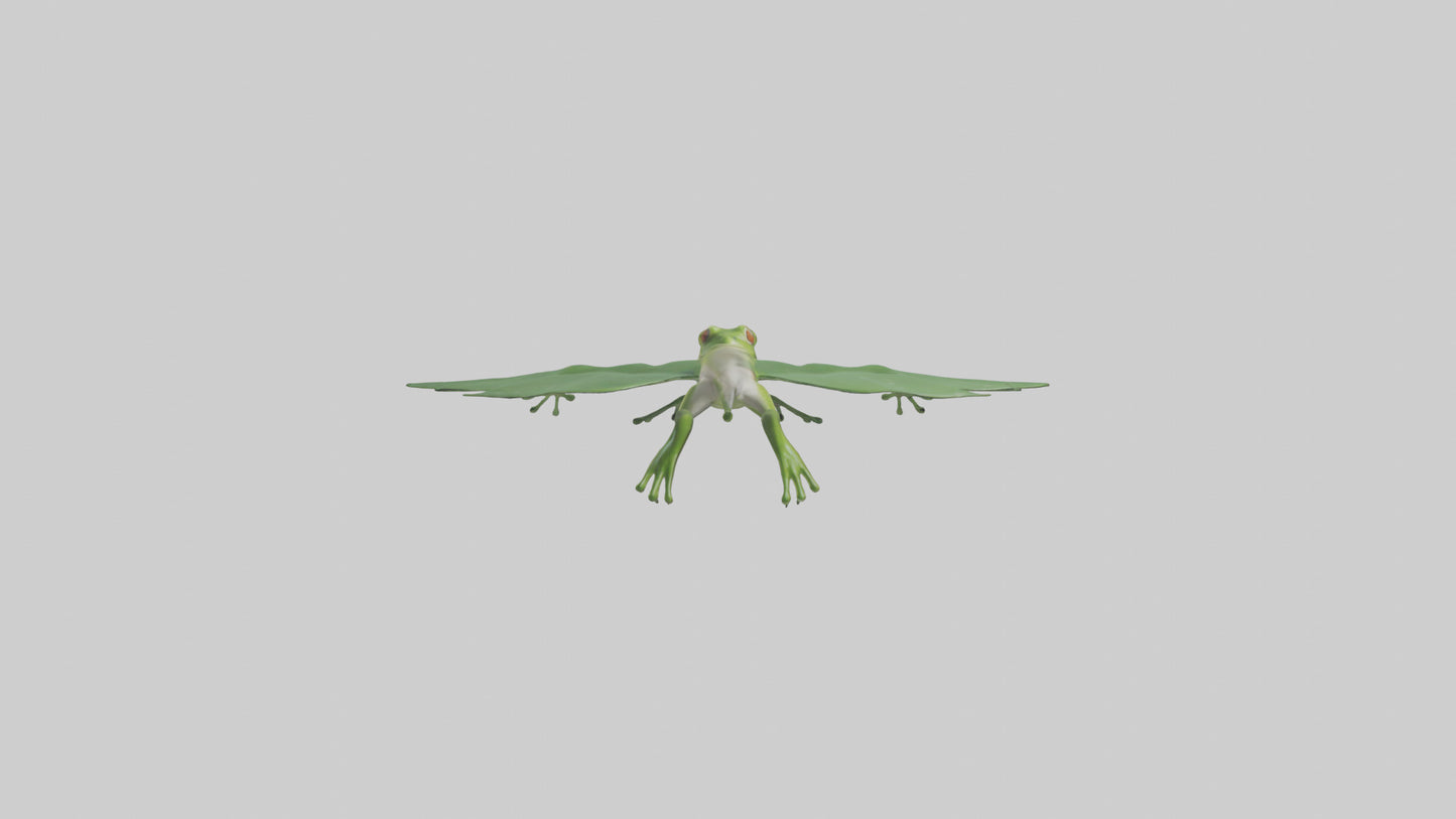 3D model Gliding Frog soaring model VR / AR / low-poly