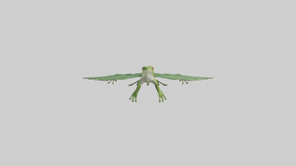 3D model Gliding Frog soaring model VR / AR / low-poly
