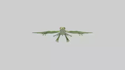 3D model Gliding Frog soaring model VR / AR / low-poly