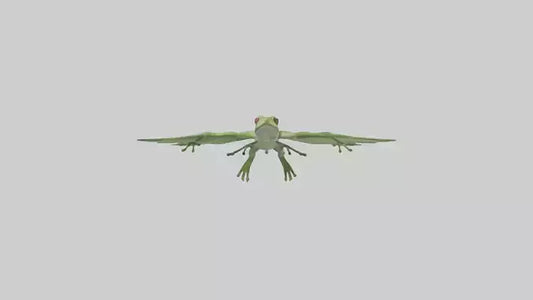 3D model Gliding Frog soaring model VR / AR / low-poly
