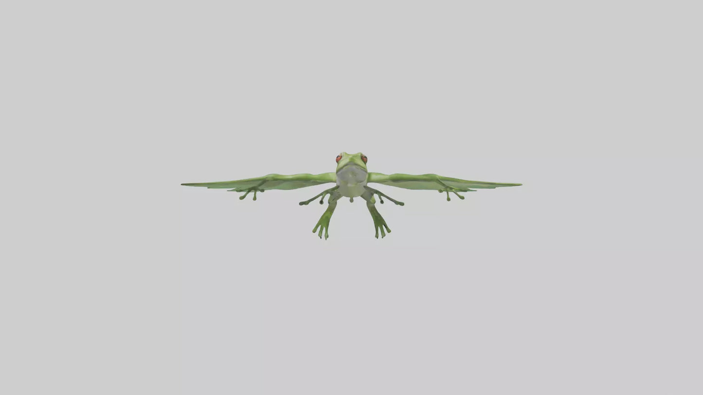 3D model Gliding Frog soaring model VR / AR / low-poly