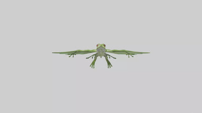 3D model Gliding Frog soaring model VR / AR / low-poly