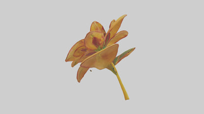 3D model Gloriosa flower model VR / AR / low-poly