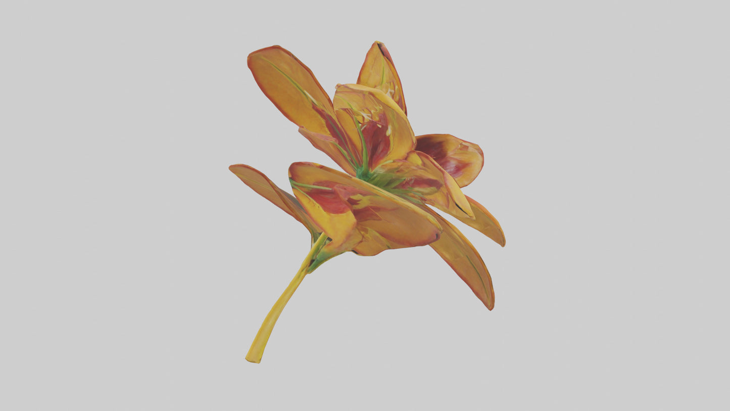 3D model Gloriosa flower model VR / AR / low-poly
