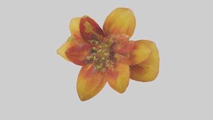 3D model Gloriosa flower model VR / AR / low-poly