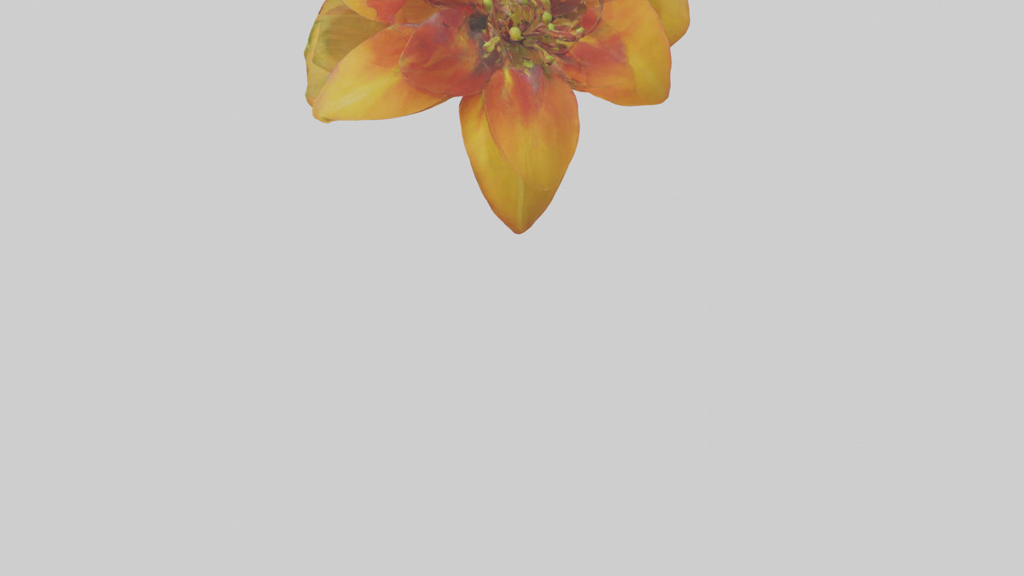 3D model Gloriosa flower model VR / AR / low-poly