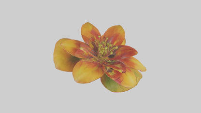 3D model Gloriosa flower model VR / AR / low-poly