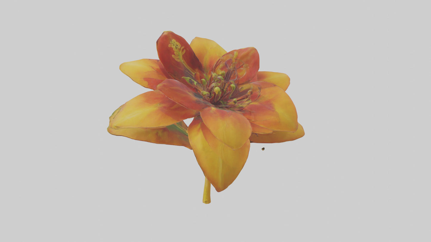 3D model Gloriosa flower model VR / AR / low-poly