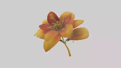 3D model Gloriosa flower model VR / AR / low-poly