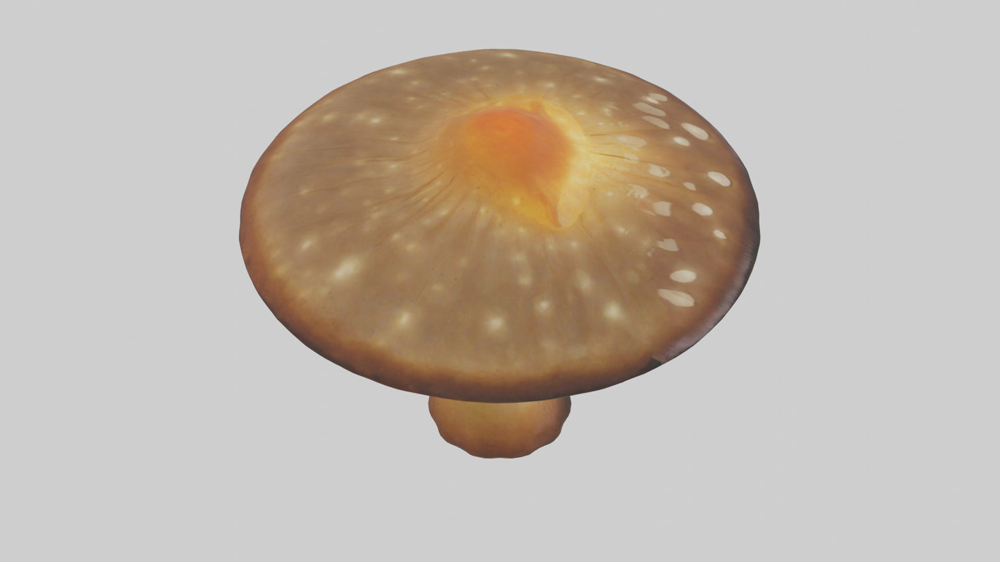 3D model Glowing Mushroom model VR / AR / low-poly