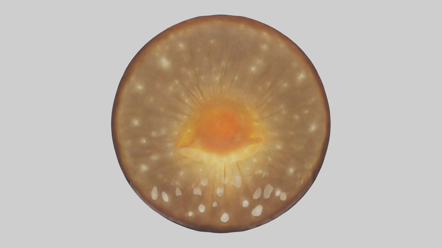 3D model Glowing Mushroom model VR / AR / low-poly