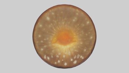 3D model Glowing Mushroom model VR / AR / low-poly