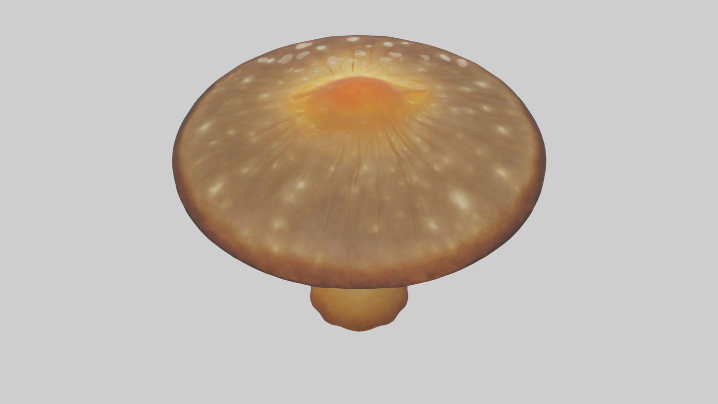 3D model Glowing Mushroom model VR / AR / low-poly