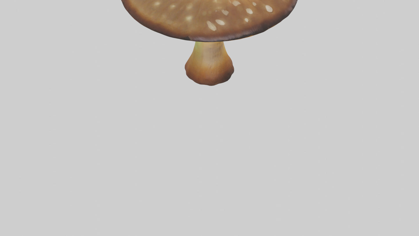 3D model Glowing Mushroom model VR / AR / low-poly