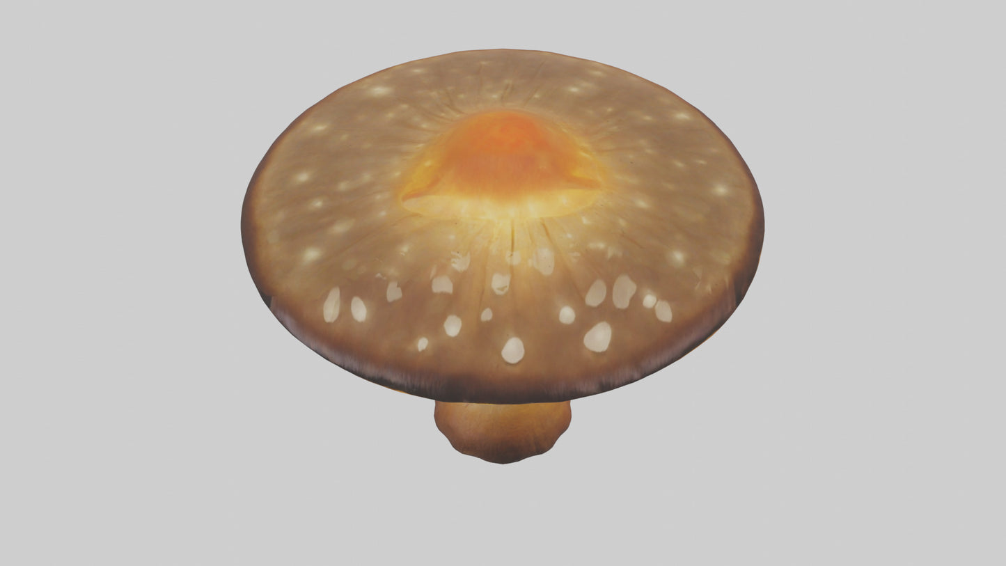 3D model Glowing Mushroom model VR / AR / low-poly