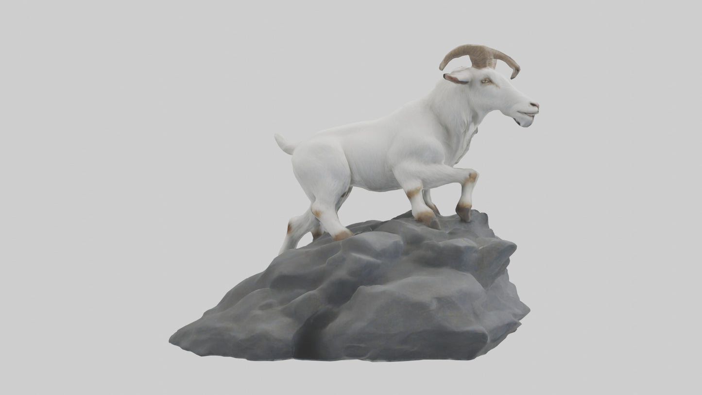 3D model Goat climbing rocks model VR / AR / low-poly