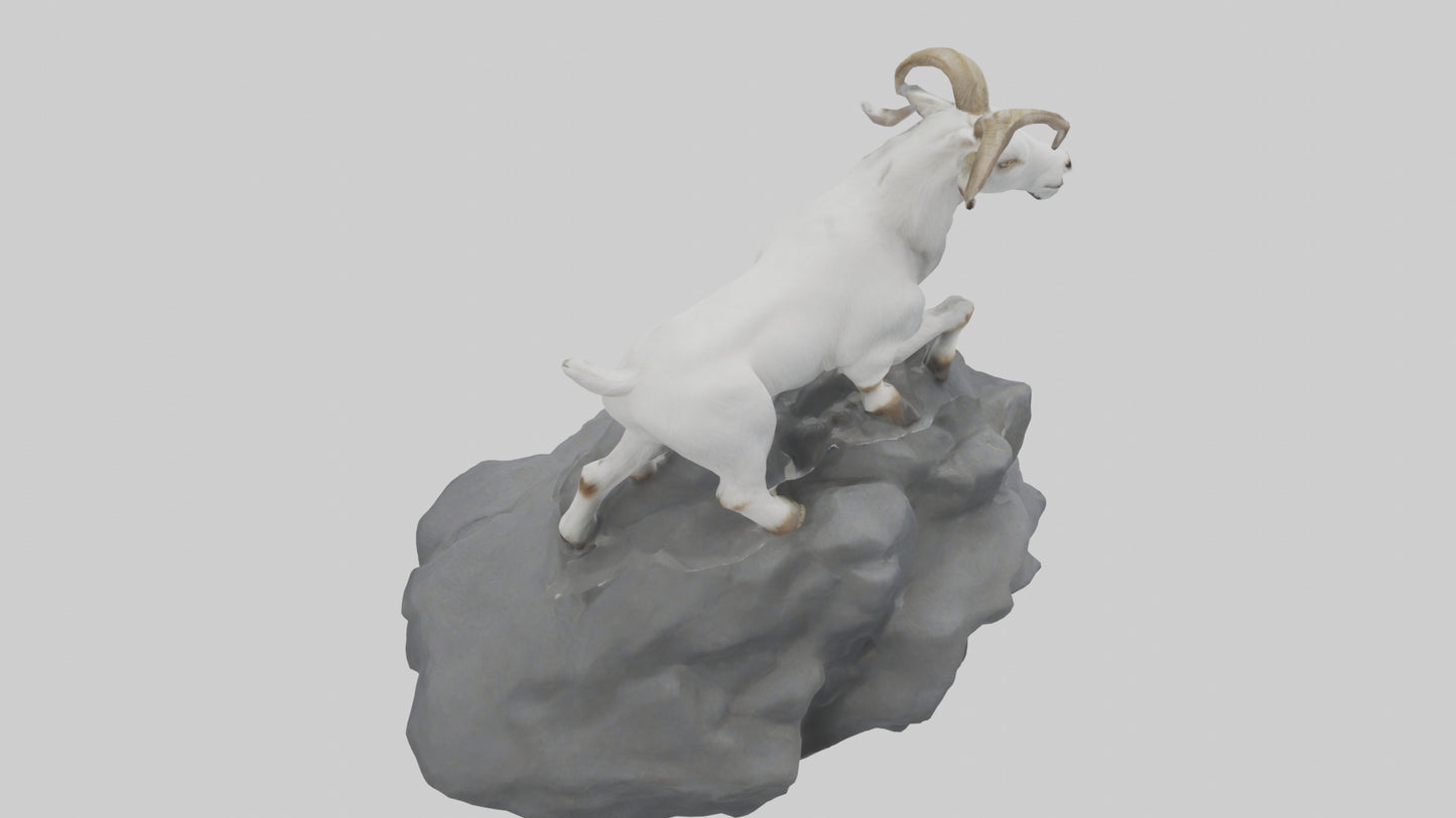 3D model Goat climbing rocks model VR / AR / low-poly