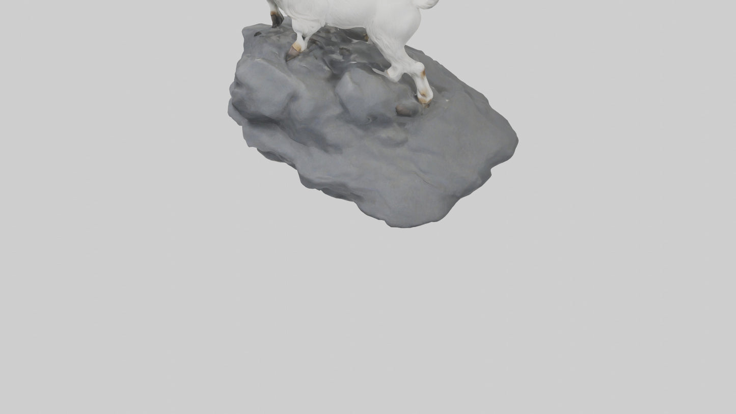 3D model Goat climbing rocks model VR / AR / low-poly